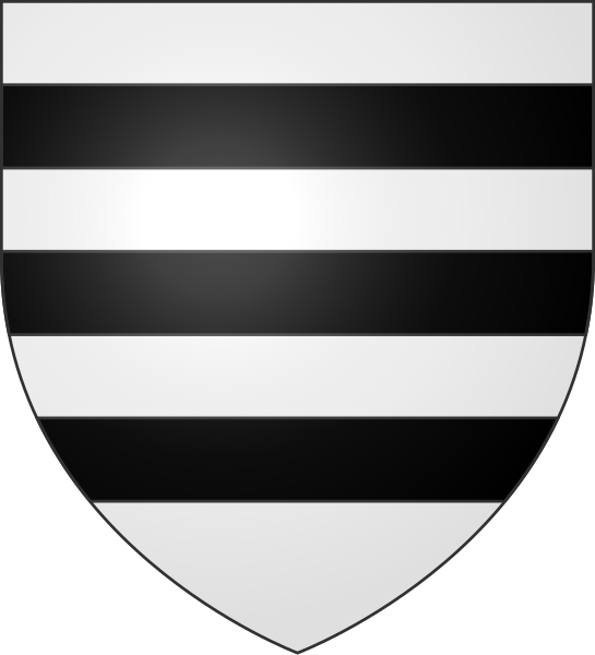 File:Escut de Nyer.svg