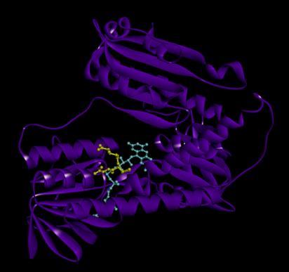 Human GSR with bound glutathione and FADH