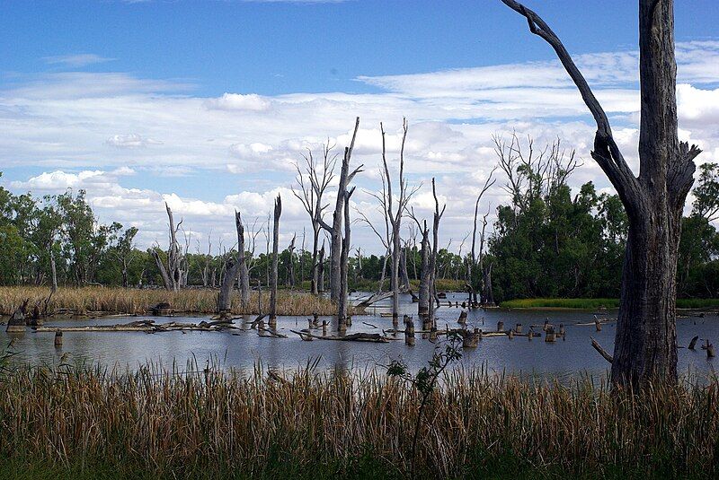 File:Lake Mulwala Stevage.jpg