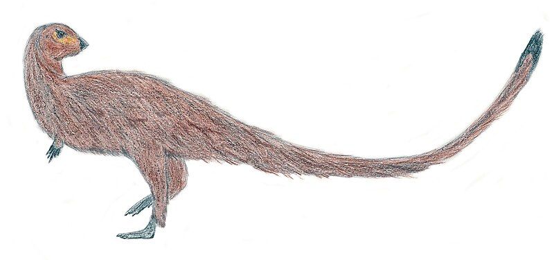 File:Leaellynasaura EF“”.jpg