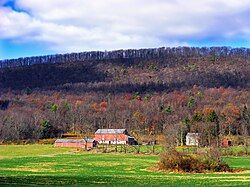 A farm in Miles Township