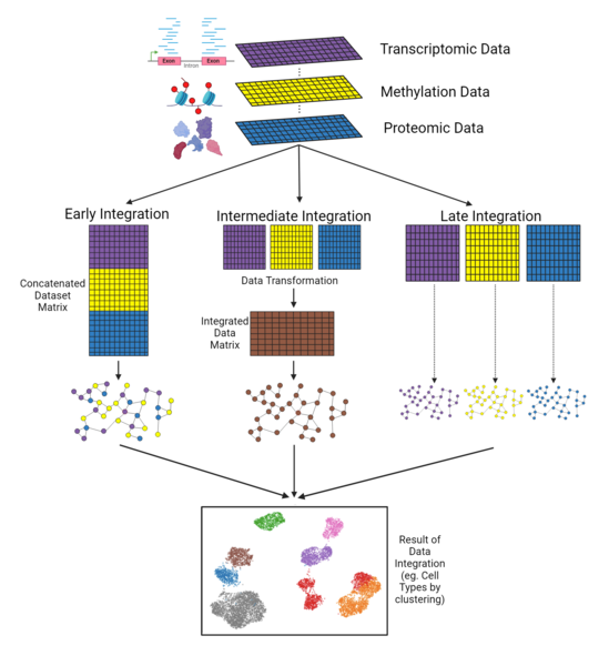 File:MultiOmicIntegrationStrategies.png