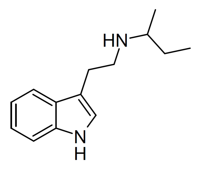 File:NSBT structure.png