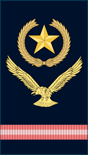 File:PAK-CWO.svg