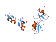 2nlc: Human beta-defensin-1 (mutant Ser8Ala)