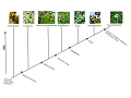 This diagram shows the innovations of protection of a multicellular embryo which was the first plants to live on land. Vascular tissue permits the transportation of the water and nutrients. The next generation needed a stronger way to survive which increased the evolution of seeds. It starts with a common ancestor and moves up the chain as each one gets more and more complex, from something as simple as a Charophyte which does not have a protected embryo to the most complex thing which is the Flowering Plant which has double fertilization.