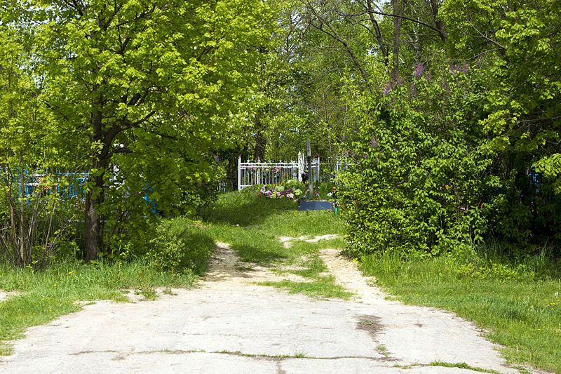 File:Rubizhne Rural Cemetery.jpg