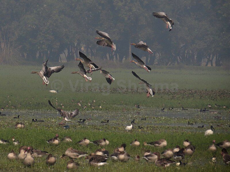 File:Shekha Jheel 2.JPG