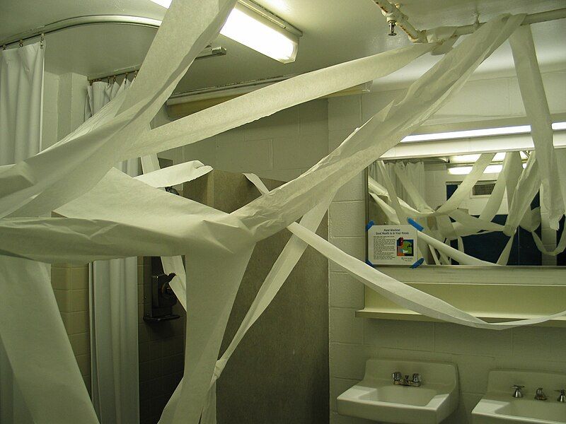 File:Toilet papered bathroom.JPG