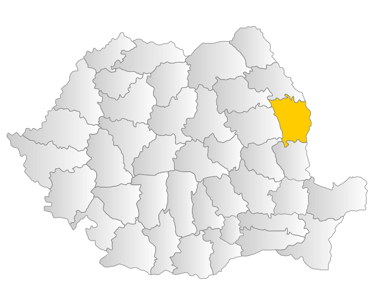 File:Vaslui.svg