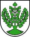 Municipality of Struppen