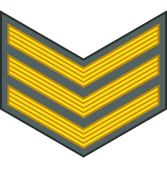 File:03-Namibia Army-SGT.svg