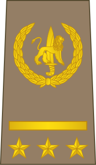 File:10-ROCongo Army-CPT.svg