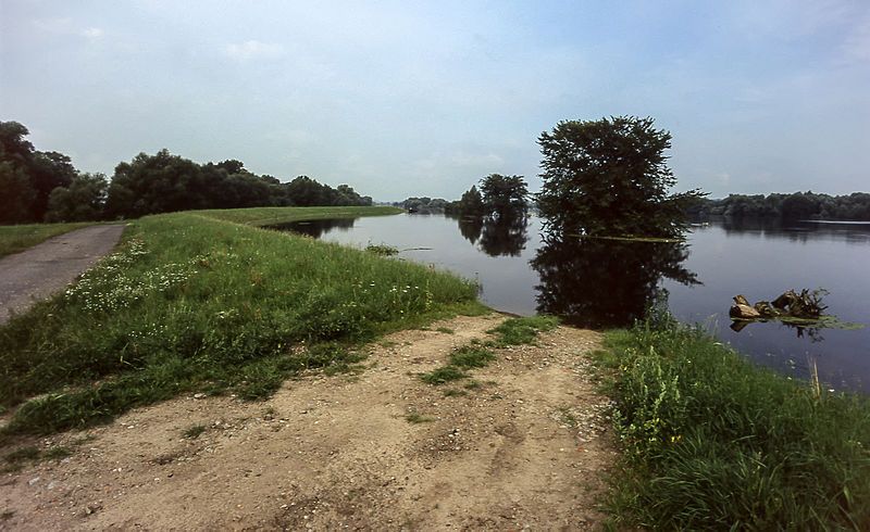 File:1997-07-29-Oderhochwasser-RalfR-img024.jpg