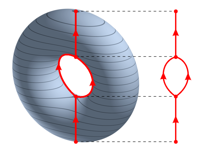 File:3D-Leveltorus-Reebgraph.png