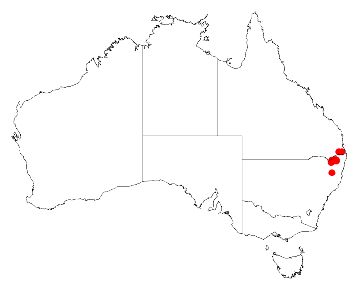 File:Acacia floydiiDistMap367.png