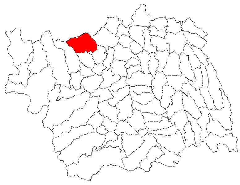 File:Balcani jud Bacau.png