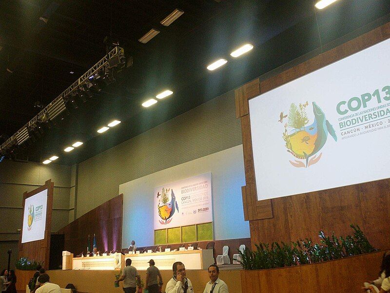 File:COP13 Mexico conference.jpg