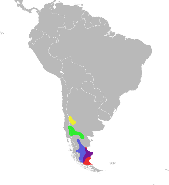 File:Diplolaemus distribution.svg