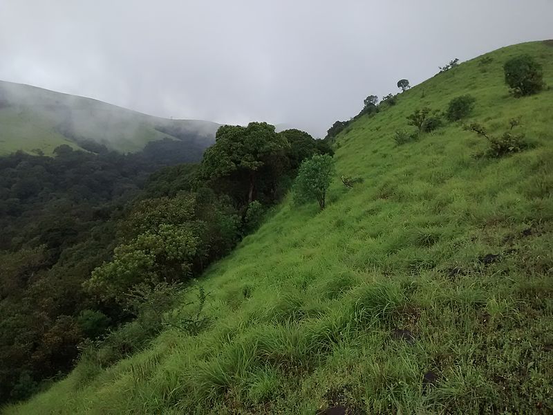 File:Kodachadri Hills.jpg