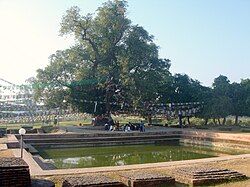 Birthplace of Siddhārtha Gautama, the Buddha