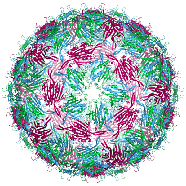 File:Ms2capsid.png