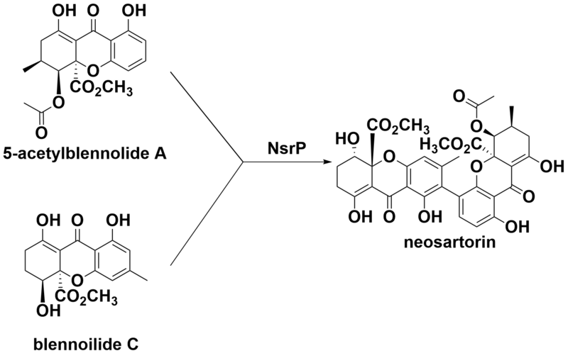 File:Neosartorin.png