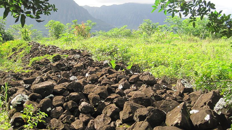 File:Oahu-Kawaewae-Heiau-wall-facing-Kahana.JPG