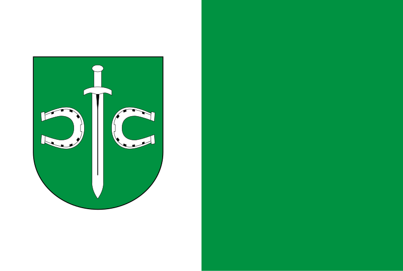 File:POL Pruszcz flag.svg