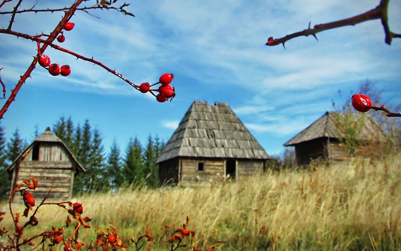 File:Planina Tara (1).jpg