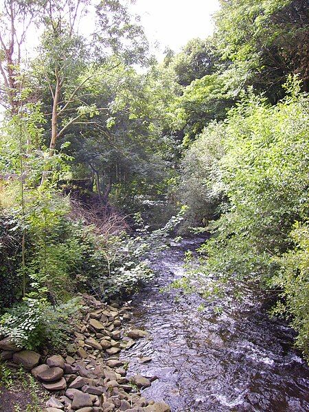 File:River Rhondda Blaenrhondda.jpg