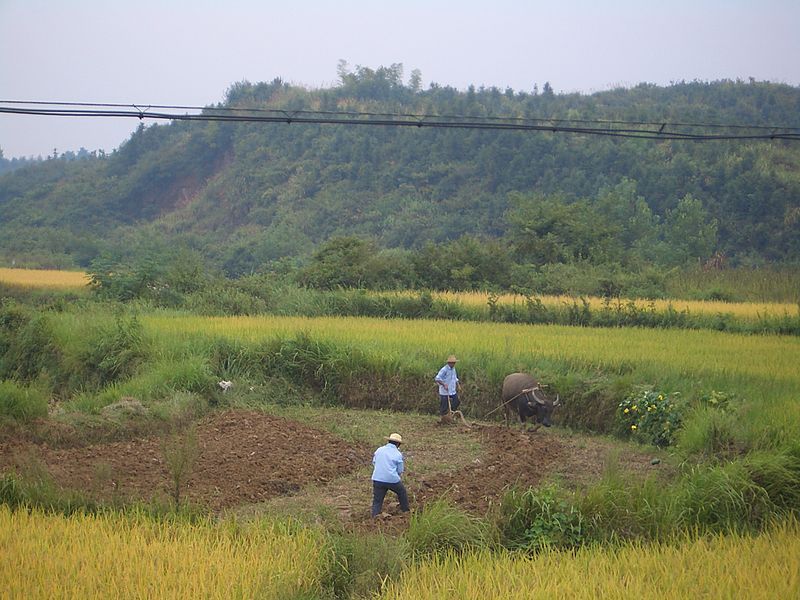 File:Xianning-fields-9731.jpg