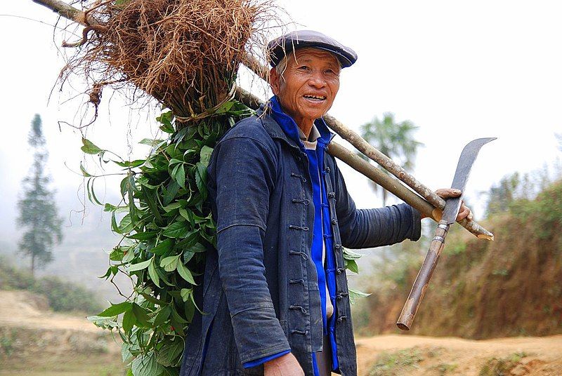 File:Yuanyang hani farmer.jpg