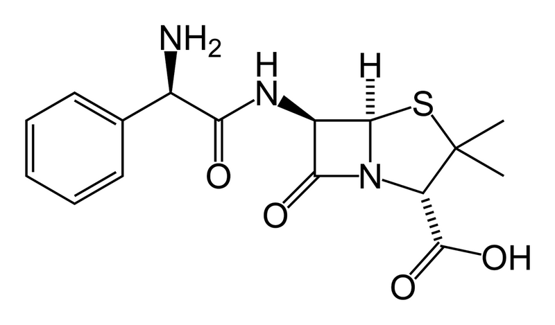 File:Ampicillin-2D-skeletal.png