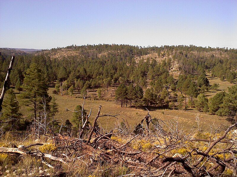 File:BlackCanyonHeberArizona.jpg