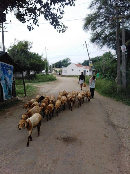 File:Chikka Kavalande Village.jpg