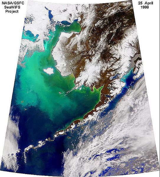 File:Coccolithophore bloom.jpg