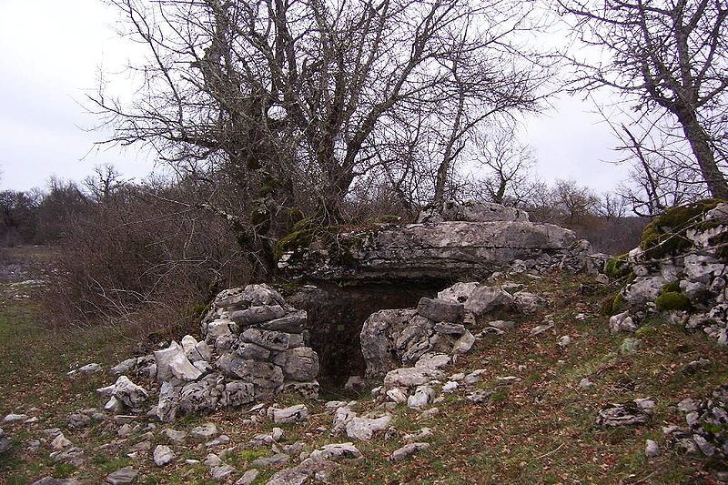 File:Dolmen garivals assier.jpg