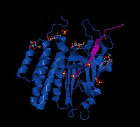 File:GAIN domain latrophilin2.tif