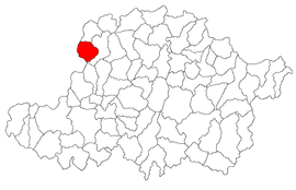 Location in Arad County