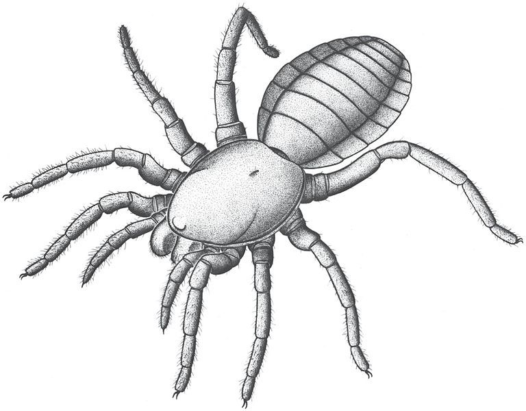 File:Idmonarachne brasieri reconstruction.jpg