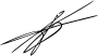 Javier Milei's signature