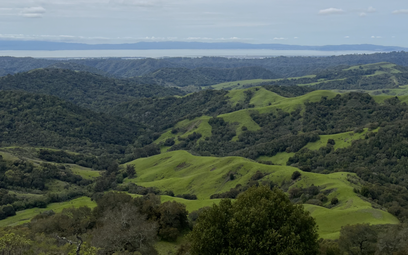 File:Kaiser Creek Canyon.png