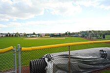 Mastodon Field (baseball)