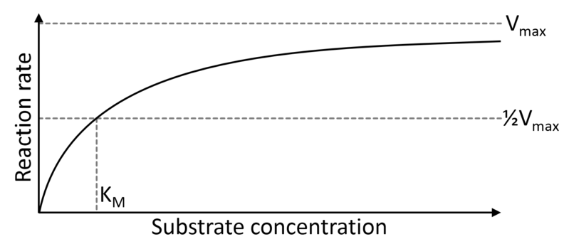 File:Michaelis Menten curve.png