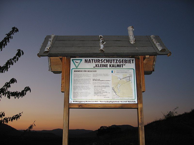 File:Naturschutzgebiet kleine Kalmit.jpg