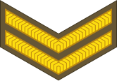 File:New Zealand-Army-OR-4.svg