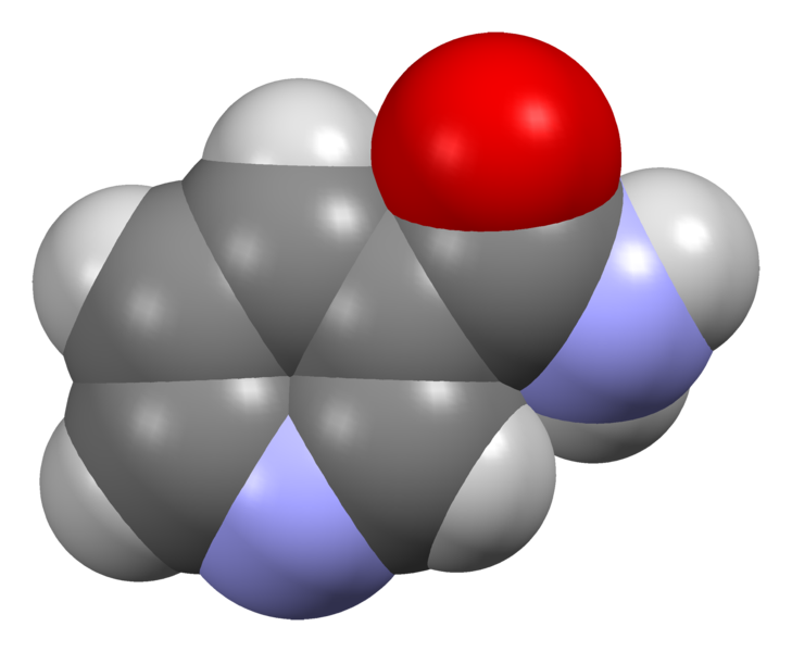 File:Nicotinamide-from-xtal-2011-Mercury-3D-sf.png