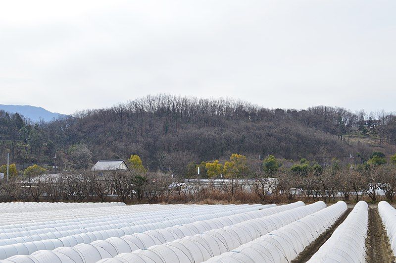 File:Omaruyama-kofun enkei-2.jpg