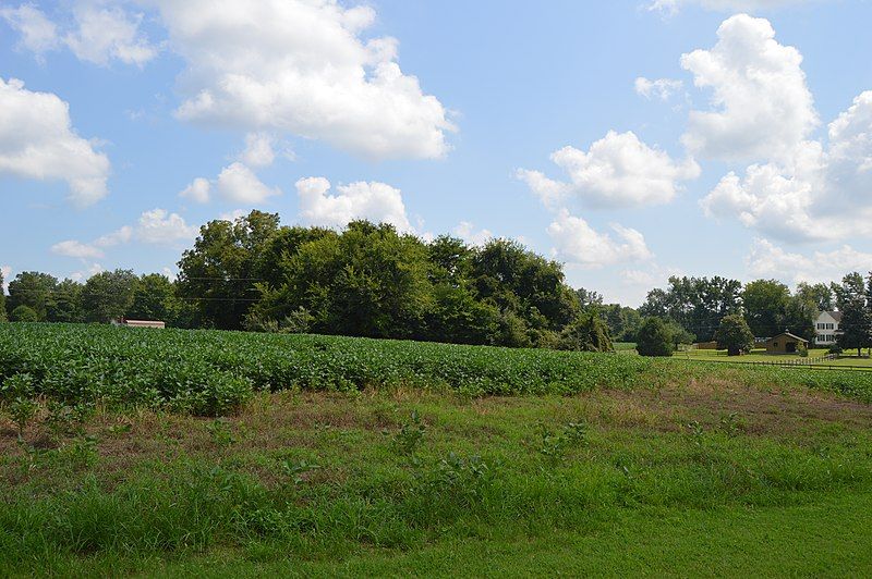 File:Patrick Henry Birthplace.jpg